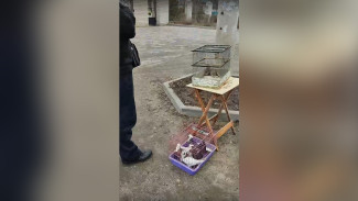 Благовещенская традиция обернулась скандалом возле воронежского храма
