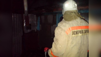 Мужчина погиб при пожаре в Таловском районе