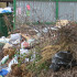 Воронежские дворы завалило мусором