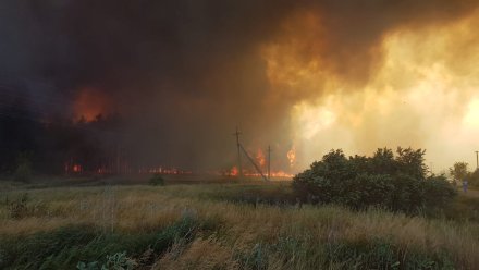 В уничтоживших 130 га леса двух пожарах обвинили воронежцев