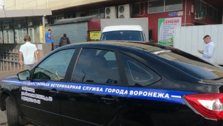 В Воронеже женщина ответит в суде за продажу мяса с сибирской язвой перекупщикам
