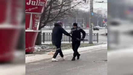 Избиение воронежца ЧОПовцем у памятника Славы привело к проверке МВД