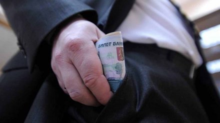 В Воронежской области 15 чиновников попались на сокрытии денег
