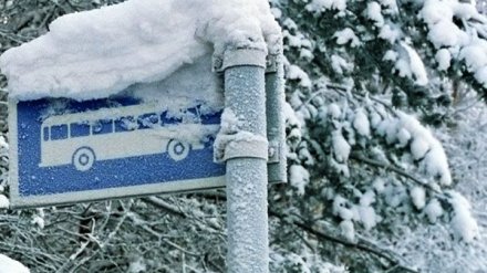 Воронежские следователи выясняют, почему водитель автобуса высадил школьницу в 60 км от дома