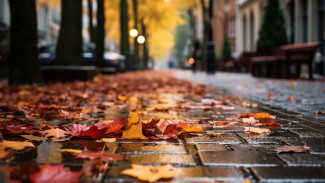 В конце рабочей недели в Воронеж нагрянут дожди