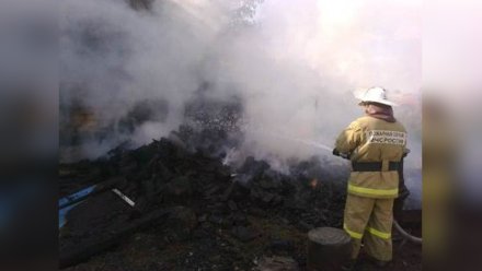 В Воронеже в лесу рядом с новостройками вспыхнул пожар