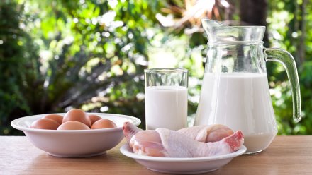 Россельхознадзор ограничил ввоз в страну продукцию четырёх белорусских производителей