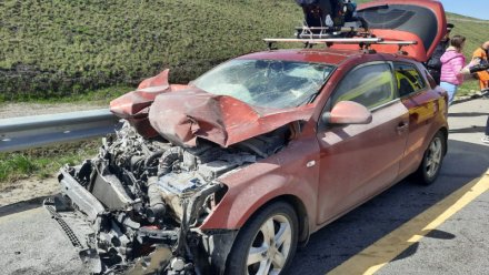 На трассе в Воронежской области в ДТП пострадала 10-месячная девочка