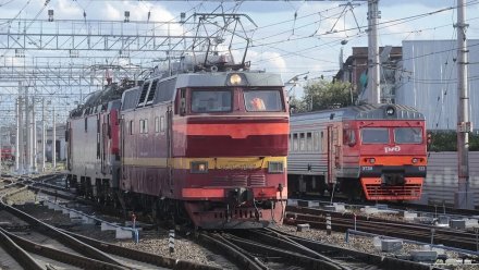 Поезд насмерть сбил двух человек в Воронеже