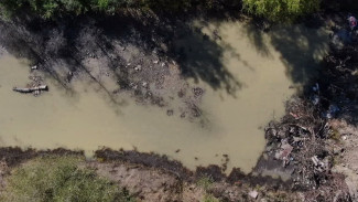 «Пьём противоаллергенные». Озеро из канализационных стоков отравило жизнь воронежцев