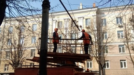 В Воронеже демонтируют остатки троллейбусной линии на улице Мира
