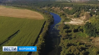 Воронежский суд вернул государству занимаемые озером Круглое земельные участки