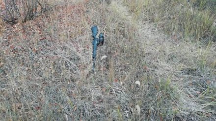Владельца воронежского мясокомбината простили за убийство на охоте водителя