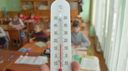 Первоклассников в воронежском селе заставили учиться при +12 в школе