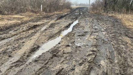 Жители воронежского хутора пожаловались на утопающую в грязи дорогу к домам