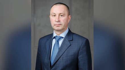 Воронежский вице-премьер прокомментировал сообщения о своём увольнении