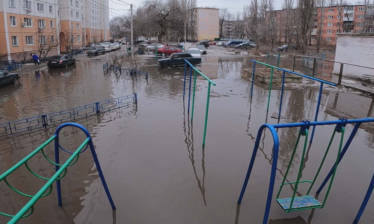 Царь-лужу на Левом берегу в Воронеже окрестили «Машметовским озером» –  Новости Воронежа и Воронежской области – Вести Воронеж