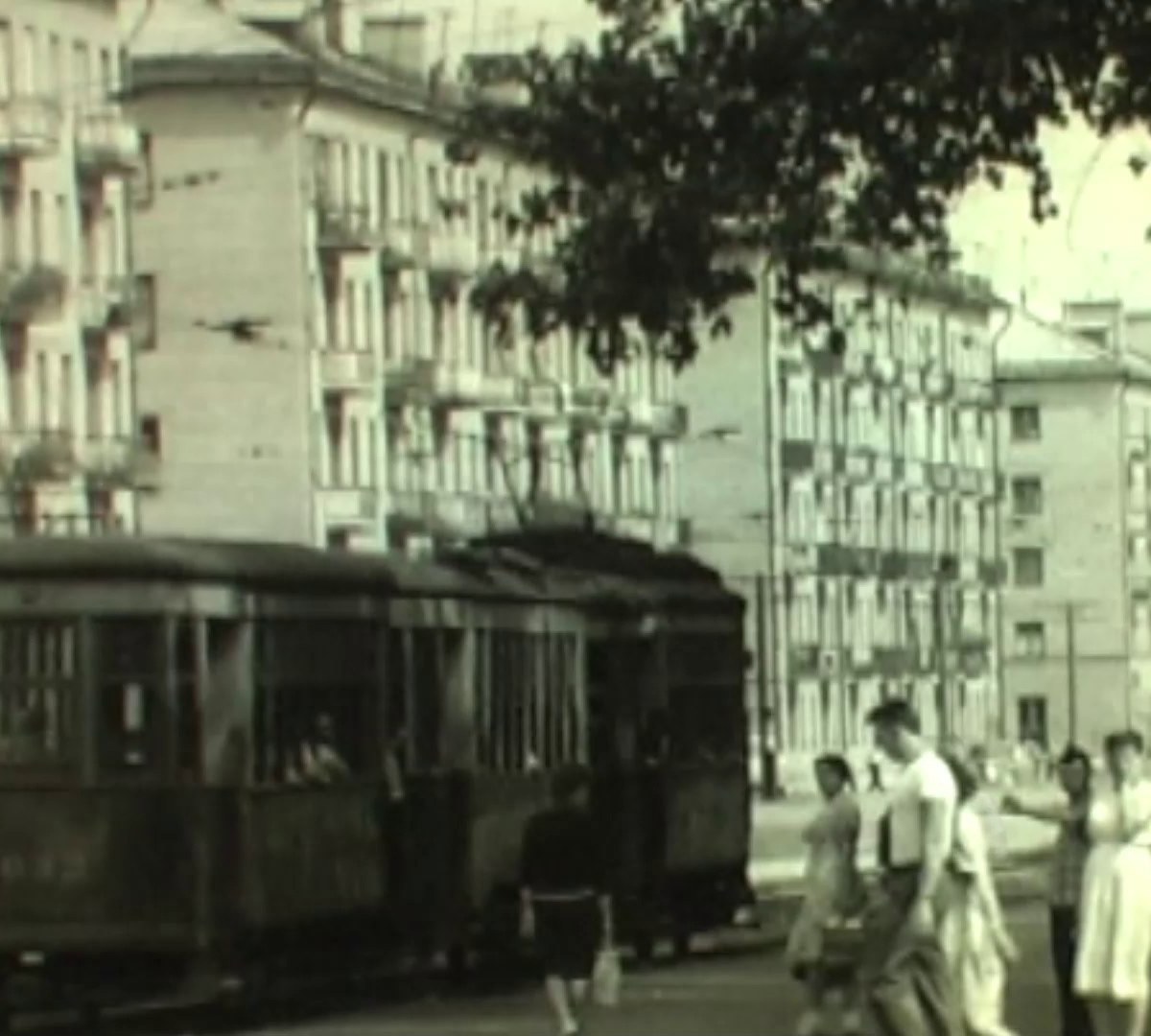 Район на диких песках. Как развивался Левый берег Воронежа в советское  время – Новости Воронежа и Воронежской области – Вести Воронеж