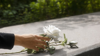 Воронежца оштрафовали за осквернение могилы начальника