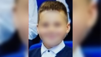 В Воронеже закрыли поиски пропавшего 11-летнего мальчика
