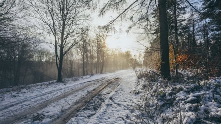 Мороз -20 и резкое потепление до +3 пообещали синоптики в выходные в Воронежской области