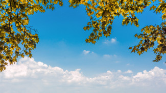 Первая рабочая неделя сентября порадует воронежцев тёплой погодой