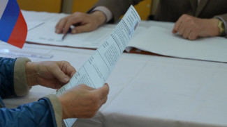 Голосовали за мир и будущее. Как прошёл второй день выборов в Воронежской области