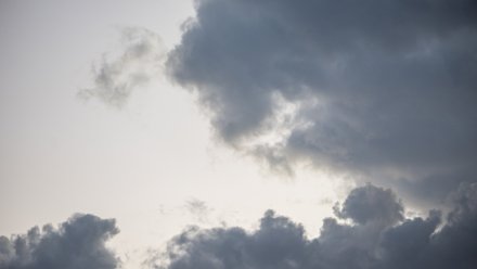 Прогноз погоды в Воронеже на 13.05.2026