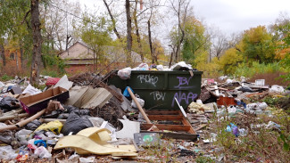 Крысы перебрались жить в подъезды из-за стихийной свалки на Солнечной в Воронеже