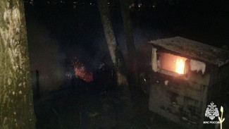 Стало известно, сколько домов пострадало при мощном пожаре в посёлке под Воронежем