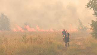 Чрезвычайный класс пожарной опасности установился в 21 районе Воронежской области