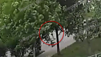 Мотовелосипедист сбил 4-летнюю девочку на улице Шишкова в Воронеже