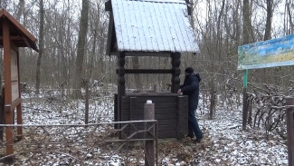 В воронежском Докучаевском колодце осталось 25 см воды