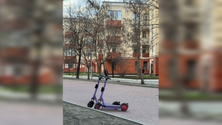 Депутат предложил свод правил для решения проблем с самокатами в Воронеже