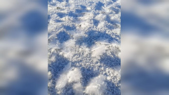 Синоптик назвал причину появления ледяных «цветов» на Воронежском водохранилище