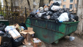 В Воронеже за полгода привели в порядок 150 мусорных площадок