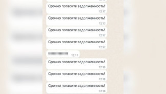 Микрофинансовую организацию оштрафовали за назойливые сообщения воронежцу