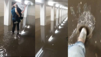 Воронежцы показали на видео потоп в многострадальном подземном переходе на Волгоградской