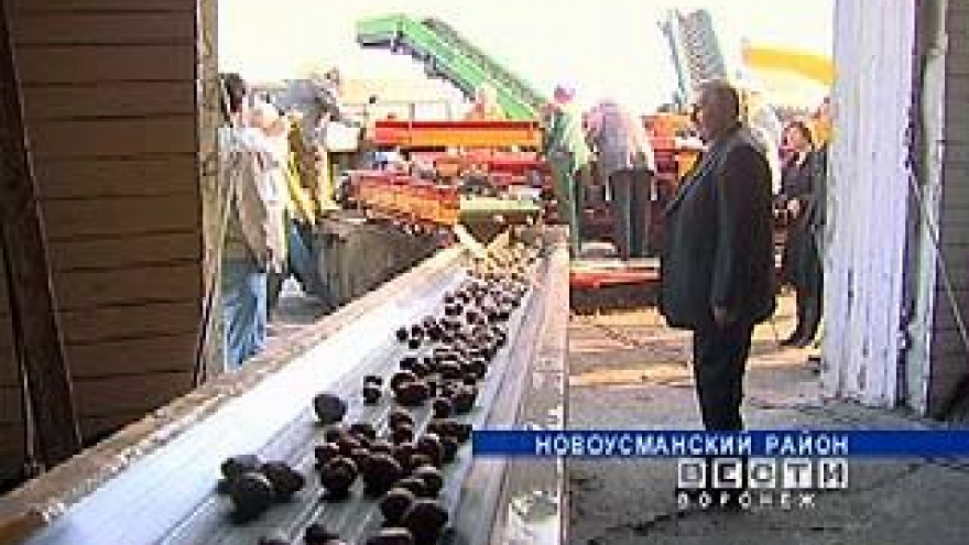 Холдинг "Агросвет" подвел предварительные итоги уборочной кампании