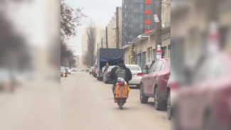 «Отца года» начали искать в Воронеже после опасной поездки с ребёнком на самокате