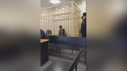 В Воронеже подозреваемый в убийстве пенсионерок останется на 2 месяца в СИЗО