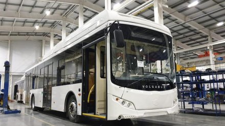 На популярный воронежский маршрут выйдут 20 новых больших автобусов 