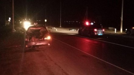 Под Воронежем машина сбила трёх человек, перебегавших дорогу: двое погибли