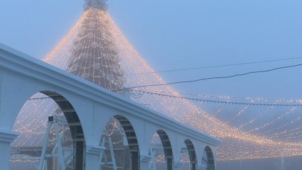 Воронежцам напомнили о запрете парковки в центре из-за празднования Нового года