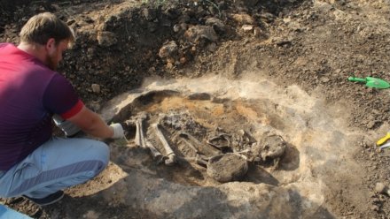 Воронежские археологи нашли в новохопёрском кургане погребение бронзового века