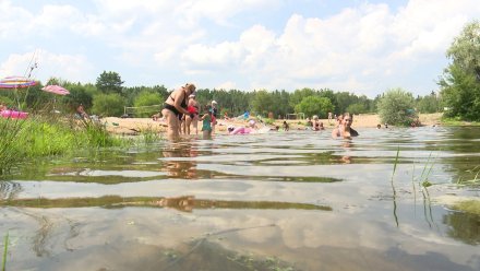 Синоптики спрогнозировали 34-градусную жару в Воронежской области