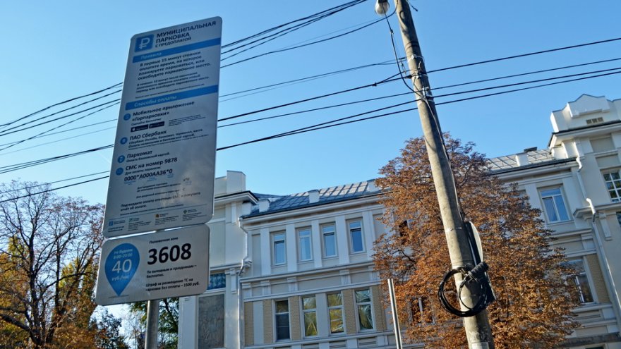 Облдума попробует запретить платные парковки у школ и больниц в Воронеже