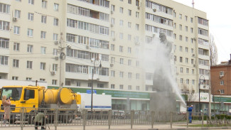 Памятники Воронежа приняли душ