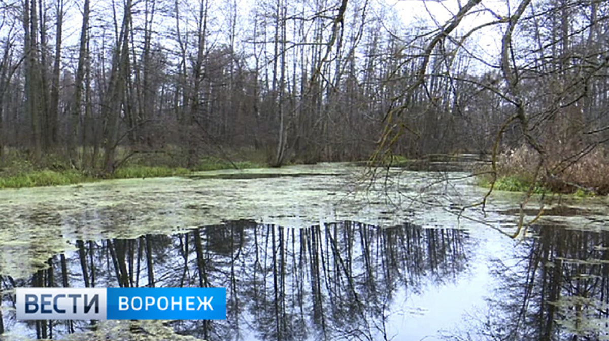 Вести с водоемов водохранилища