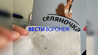 Воронежские санврачи связались с брендом «Селяночка» после обнаружения в рисе личинок